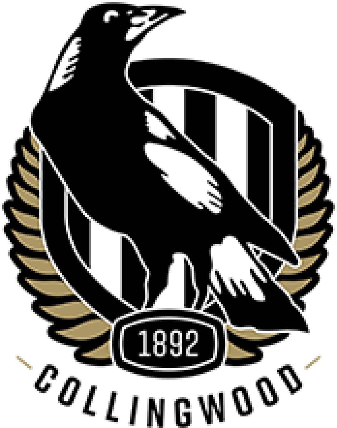 Collingwood FC