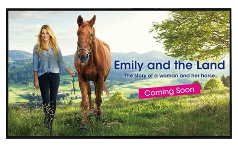 Sharp’s PN-HW 4k displays